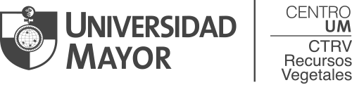 Universidad Mayor