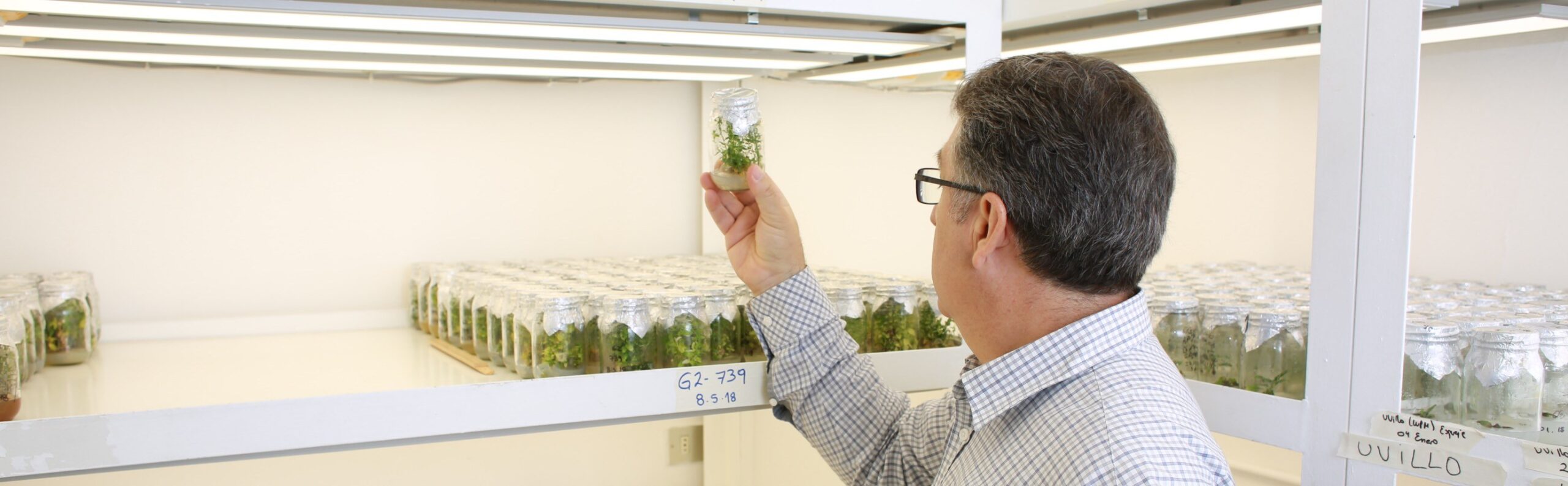 Investigación y tecnologías al servicio del área agrícola y forestal